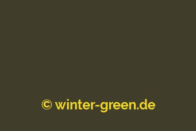 Oxford - Farbe für englischen / viktorianischen Wintergarten